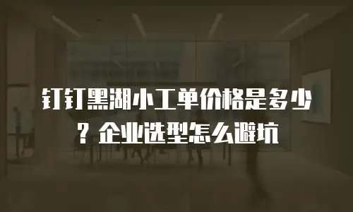 钉钉黑湖小工单价格是多少？企业选型怎么避坑