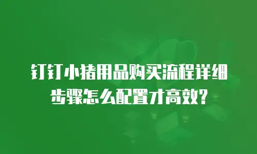 钉钉小猪用品购买流程详细步骤怎么配置才高效？