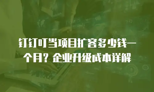 钉钉叮当项目扩容多少钱一个月？企业升级成本详解