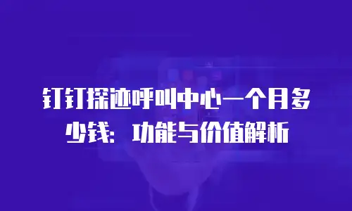 钉钉探迹呼叫中心一个月多少钱：功能与价值解析