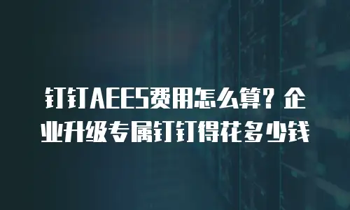 钉钉AEES费用怎么算？企业升级专属钉钉得花多少钱