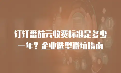 钉钉番茄云收费标准是多少一年？企业选型避坑指南