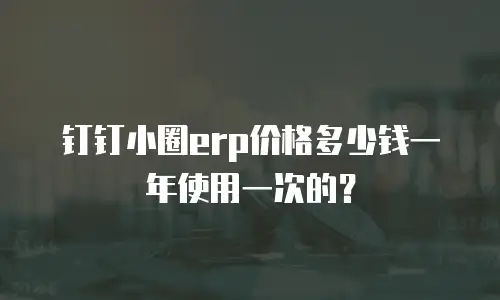 钉钉小圈erp价格多少钱一年使用一次的？