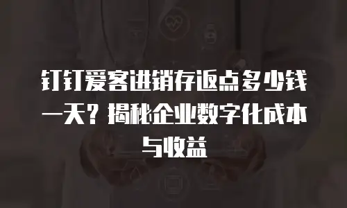 钉钉爱客进销存返点多少钱一天？揭秘企业数字化成本与收益