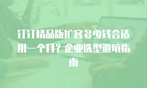 钉钉精品版扩容多少钱合适用一个月？企业选型避坑指南
