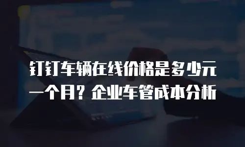 钉钉车辆在线价格是多少元一个月？企业车管成本分析
