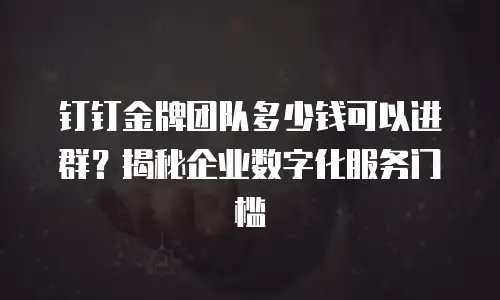 钉钉金牌团队多少钱可以进群？揭秘企业数字化服务门槛