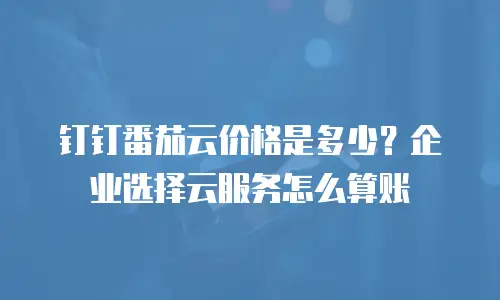 钉钉番茄云价格是多少？企业选择云服务怎么算账