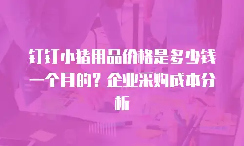 钉钉小猪用品价格是多少钱一个月的？企业采购成本分析