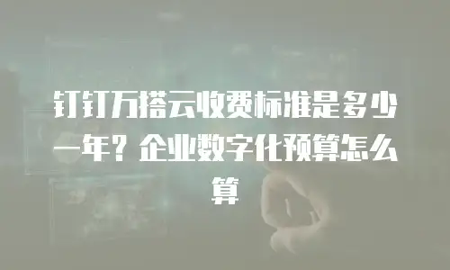 钉钉万搭云收费标准是多少一年？企业数字化预算怎么算