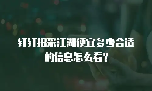 钉钉招采江湖便宜多少合适的信息怎么看？
