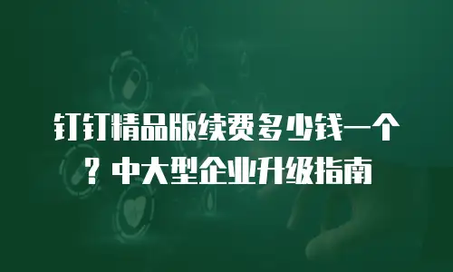 钉钉精品版续费多少钱一个？中大型企业升级指南