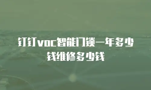 钉钉voc智能门锁一年多少钱维修多少钱
