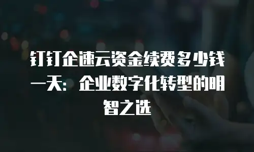 钉钉企速云资金续费多少钱一天：企业数字化转型的明智之选