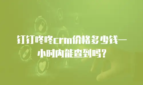 钉钉咚咚crm价格多少钱一小时内能查到吗？
