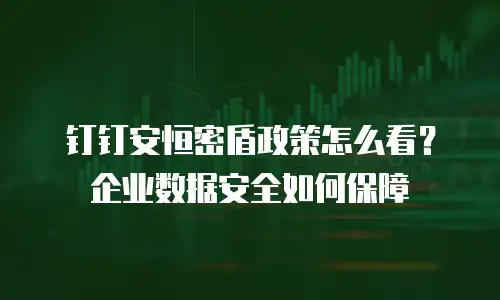钉钉安恒密盾政策怎么看？企业数据安全如何保障