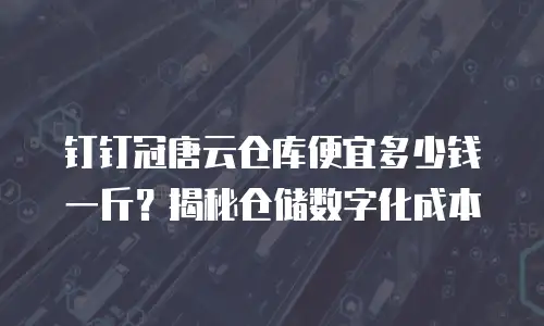 钉钉冠唐云仓库便宜多少钱一斤？揭秘仓储数字化成本