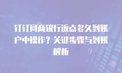 钉钉网商银行返点多久到账户中操作？关键步骤与到账解析