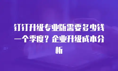 钉钉升级专业版需要多少钱一个季度？企业升级成本分析