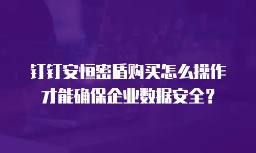 钉钉安恒密盾购买怎么操作才能确保企业数据安全？