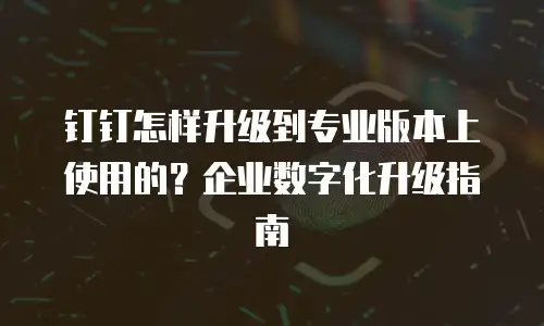 钉钉怎样升级到专业版本上使用的？企业数字化升级指南