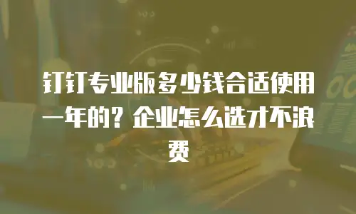 钉钉专业版多少钱合适使用一年的？企业怎么选才不浪费