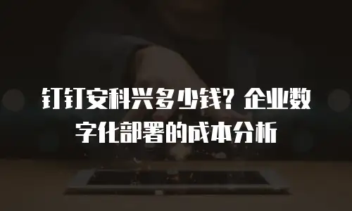 钉钉安科兴多少钱？企业数字化部署的成本分析