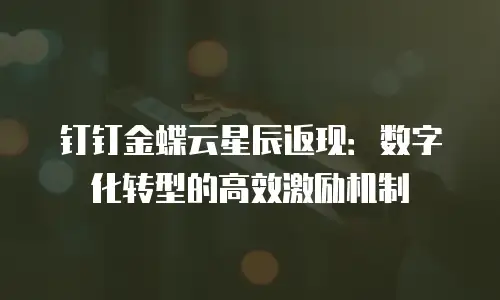 钉钉金蝶云星辰返现：数字化转型的高效激励机制