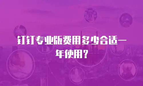 钉钉专业版费用多少合适一年使用？