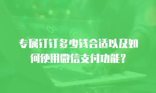 专属钉钉多少钱合适以及如何使用微信支付功能？