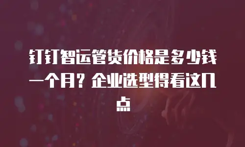 钉钉智运管货价格是多少钱一个月？企业选型得看这几点