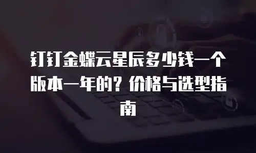 钉钉金蝶云星辰多少钱一个版本一年的？价格与选型指南