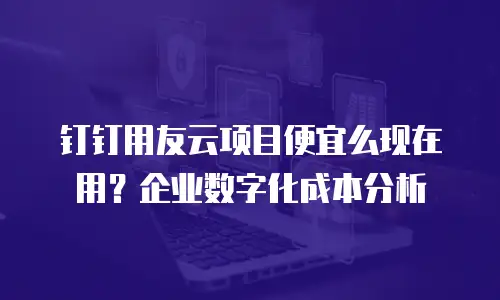 钉钉用友云项目便宜么现在用？企业数字化成本分析