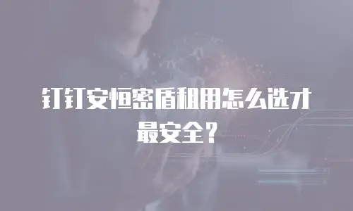 钉钉安恒密盾租用怎么选才最安全？