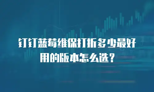 钉钉蓝莓维保打折多少最好用的版本怎么选？