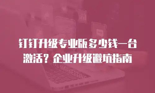 钉钉升级专业版多少钱一台激活？企业升级避坑指南