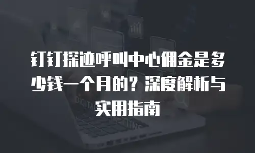 钉钉探迹呼叫中心佣金是多少钱一个月的？深度解析与实用指南