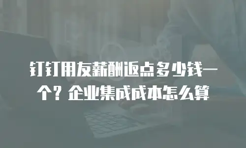 钉钉用友薪酬返点多少钱一个？企业集成成本怎么算