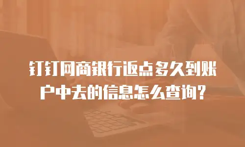 钉钉网商银行返点多久到账户中去的信息怎么查询？
