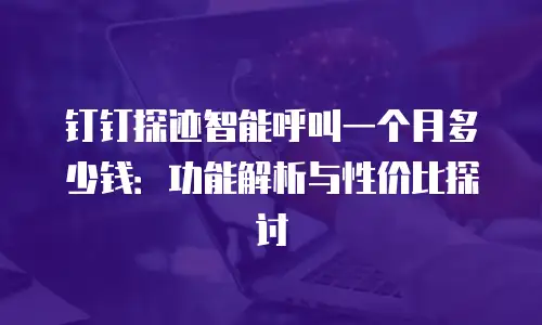 钉钉探迹智能呼叫一个月多少钱：功能解析与性价比探讨