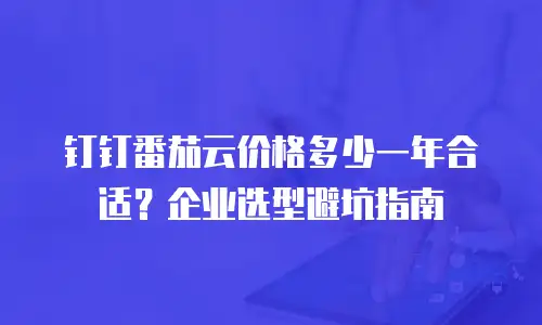 钉钉番茄云价格多少一年合适？企业选型避坑指南