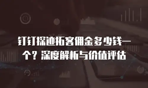 钉钉探迹拓客佣金多少钱一个？深度解析与价值评估