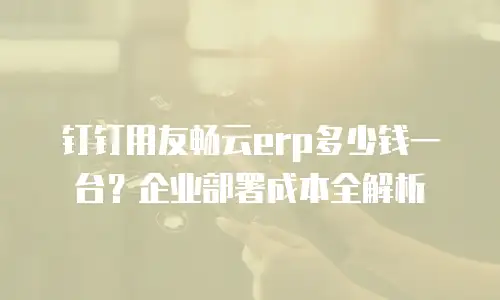 钉钉用友畅云erp多少钱一台？企业部署成本全解析