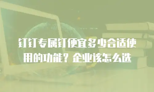 钉钉专属钉便宜多少合适使用的功能？企业该怎么选