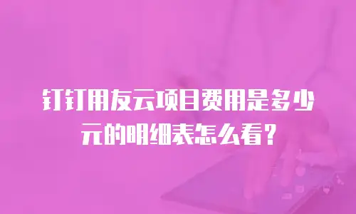 钉钉用友云项目费用是多少元的明细表怎么看？