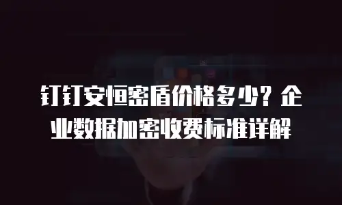 钉钉安恒密盾价格多少？企业数据加密收费标准详解