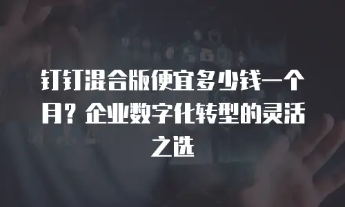 钉钉混合版便宜多少钱一个月？企业数字化转型的灵活之选