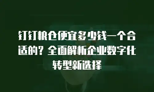 钉钉粮仓便宜多少钱一个合适的？全面解析企业数字化转型新选择