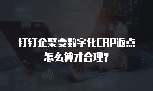 钉钉企聚变数字化ERP返点怎么算才合理？
