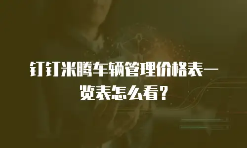 钉钉米腾车辆管理价格表一览表怎么看？